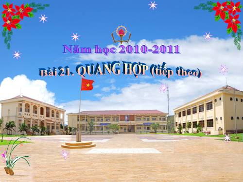 Bài 21. Quang hợp