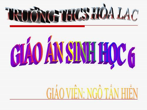 Ôn Tập HKI