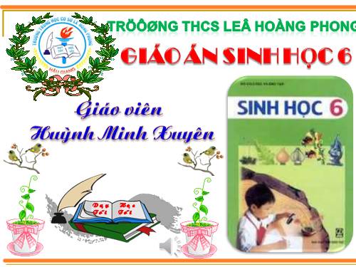 Bài 29. Các loại hoa