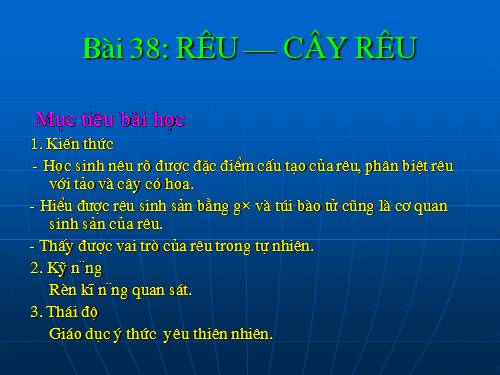 Bài 38. Rêu - Cây rêu