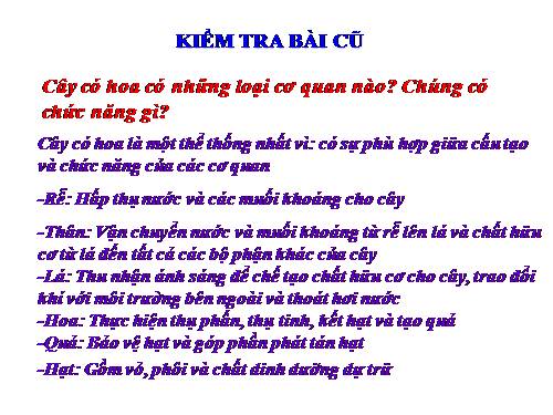 Bài 36. Tổng kết về cây có hoa