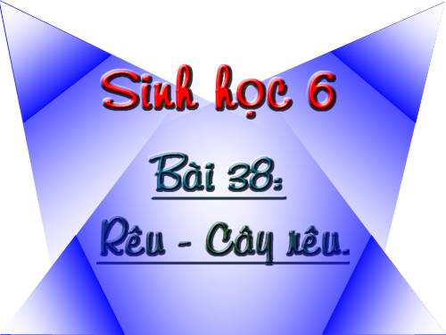 Bài 38. Rêu - Cây rêu