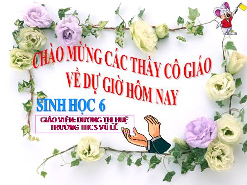 Bài 36. Tổng kết về cây có hoa