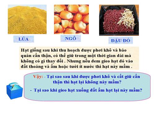 Bài 35. Những điều kiện cần cho hạt nảy mầm