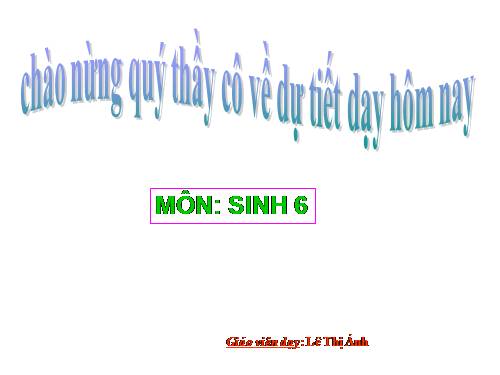 Bài 37. Tảo