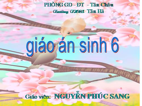 Bài 27. Sinh sản sinh dưỡng do người
