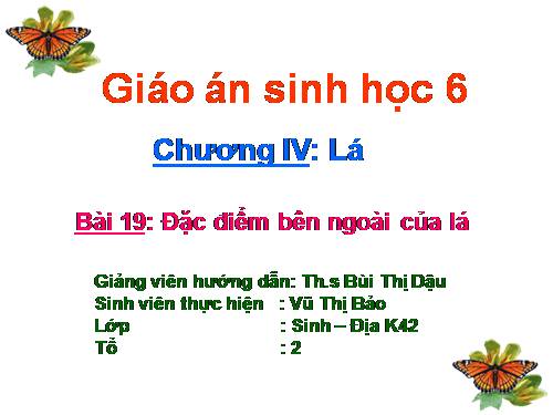 Bài 19. Đặc điểm bên ngoài của lá