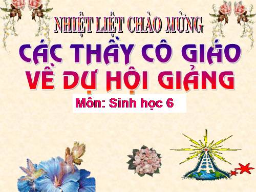 Bài 23. Cây có hô hấp không?