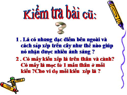 Bài 20. Cấu tạo trong của phiến lá