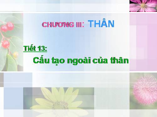 Bài 13. Cấu tạo ngoài của thân