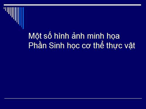 Hình thực vật