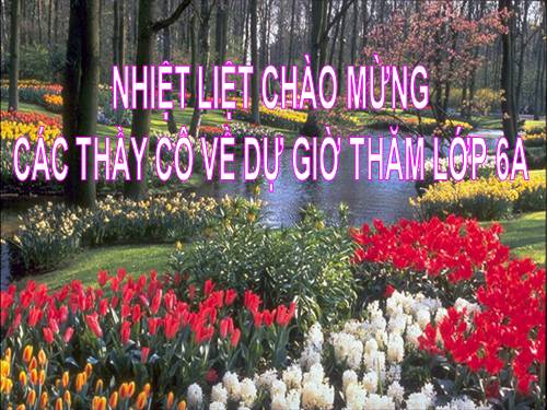 Bài 28. Cấu tạo và chức năng của hoa