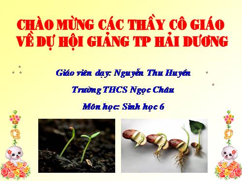 Bài 33. Hạt và các bộ phận của hạt