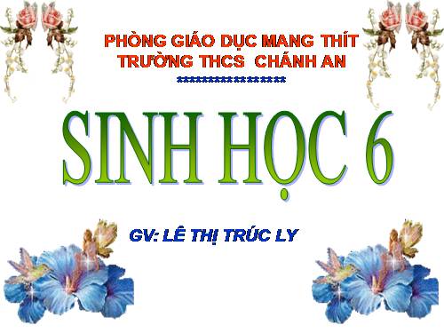 Bài 28. Cấu tạo và chức năng của hoa