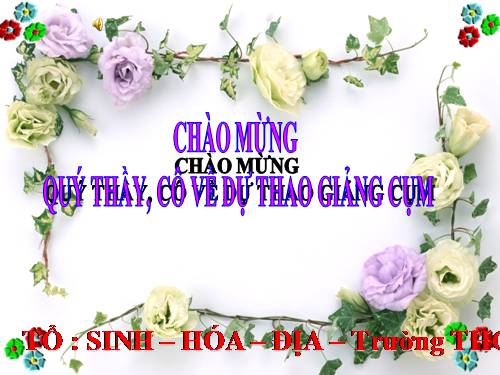 CHUYÊN ĐỀ ỨNG DỤNG PP BTNB VÀO DẠY HỌC SINH HỌC 6