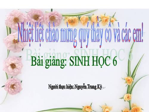 Bài 21. Quang hợp