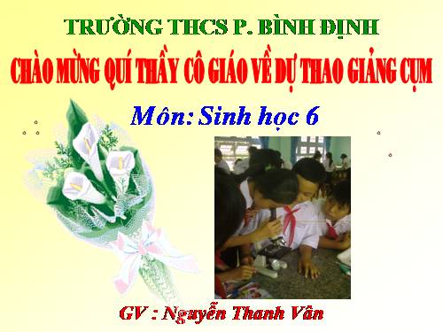 Bài 33. Hạt và các bộ phận của hạt