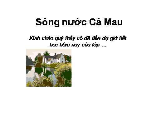 Sông nước cà mau