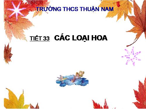 Bài 29. Các loại hoa