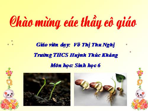 Bài 33. Hạt và các bộ phận của hạt
