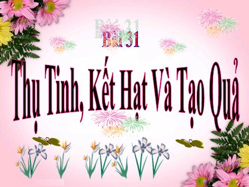 Bài 31. Thụ tinh, kết quả và tạo hạt