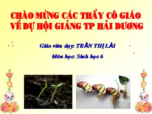 Bài 33. Hạt và các bộ phận của hạt