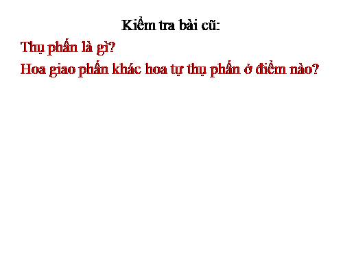 Bài 30. Thụ phấn