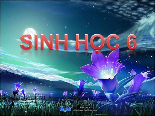 Bài 45. Nguồn gốc cây trồng