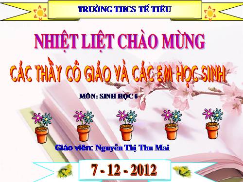 Bài 28. Cấu tạo và chức năng của hoa