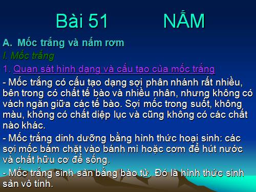 Bài 51. Nấm