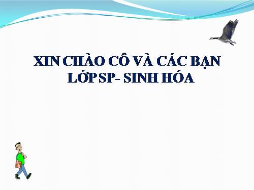 Bài 27. Sinh sản sinh dưỡng do người