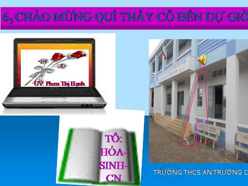 Bài 46. Thực vật góp phần điều hoà khí hậu