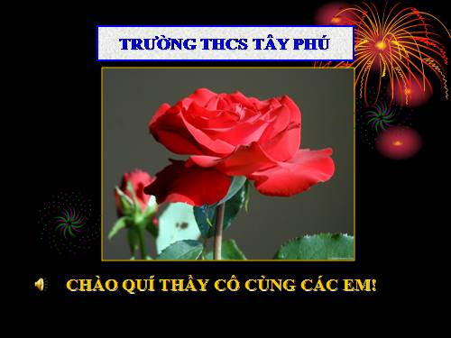 Bài 16. Thân to ra do đâu ?