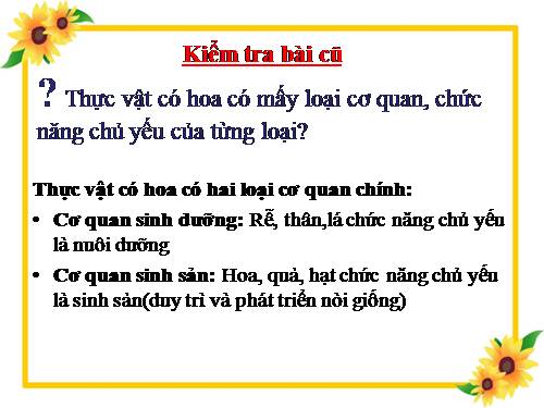 Bài 28. Cấu tạo và chức năng của hoa