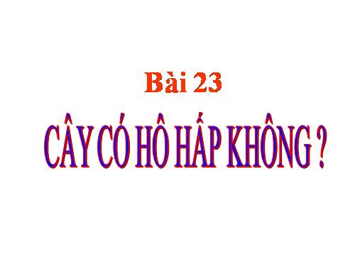 Bài 23. Cây có hô hấp không?