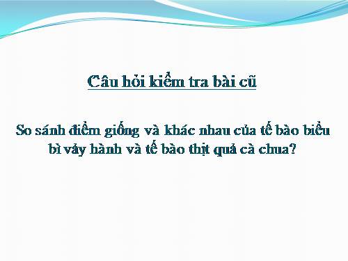 Bài 7. Cấu tạo tế bào thực vật