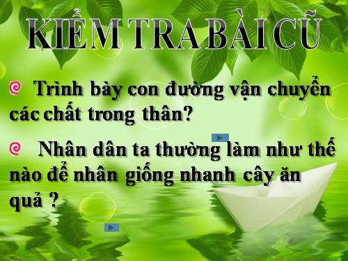 Bài 18. Biến dạng của thân