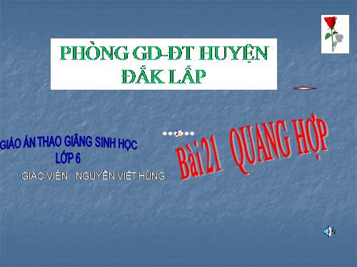 Bài 21. Quang hợp