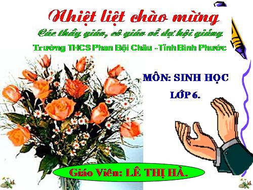 Bài 20. Cấu tạo trong của phiến lá