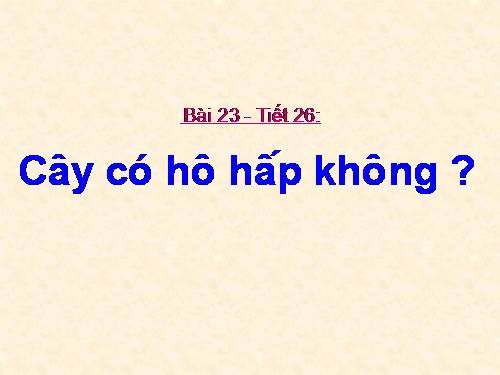 Bài 23. Cây có hô hấp không?