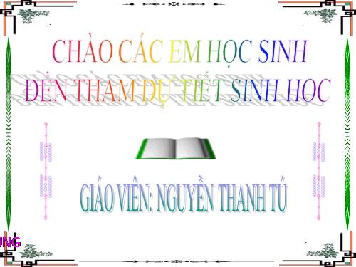 Bài 34. Phát tán của quả và hạt