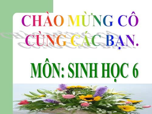 Bài 34. Phát tán của quả và hạt