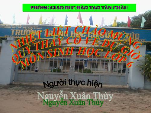 Bài 28. Cấu tạo và chức năng của hoa