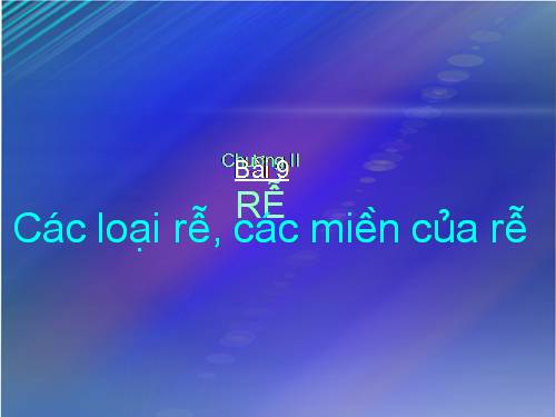 Bài 9. Các loại rễ, các miền của rễ