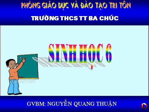 Bài 25. Biến dạng của lá