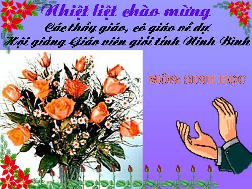 Bài 39. Quyết - Cây dương xỉ