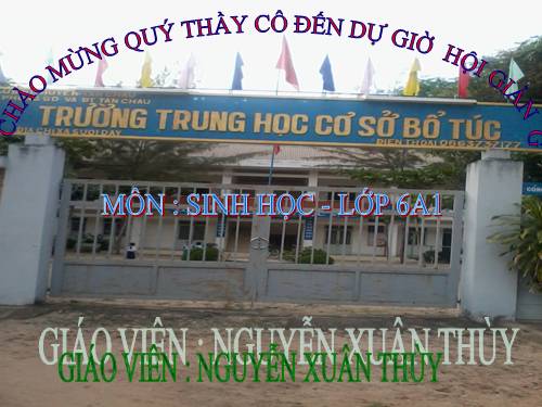Bài 45. Nguồn gốc cây trồng