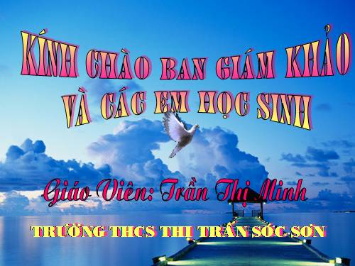 Bài 24. Phần lớn nước vào cây đi đâu?
