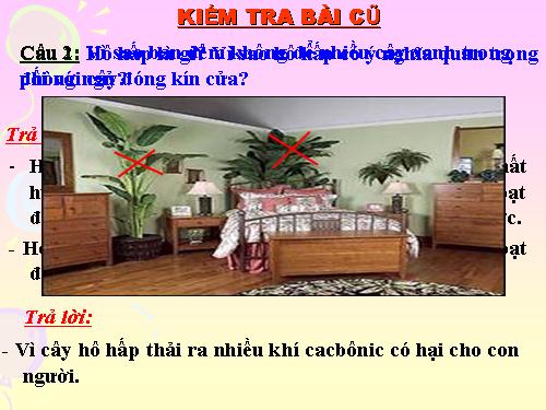 Bài 24. Phần lớn nước vào cây đi đâu?