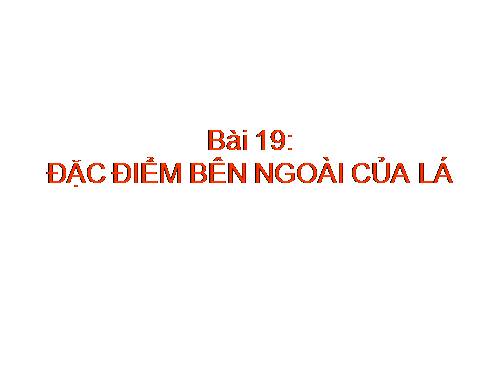 Bài 19. Đặc điểm bên ngoài của lá